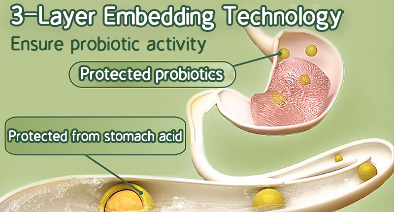 Promotes Alcohol Metabolism Probiotic Complex Relieves Gastrointestinal